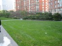 Teardrop Park, lawn and wall